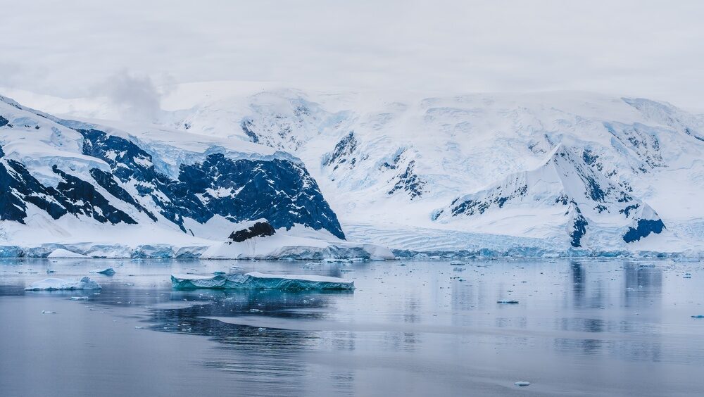 Riscaldamento e trasformazioni negli ecosistemi artici: il caso di Ny-Ålesund