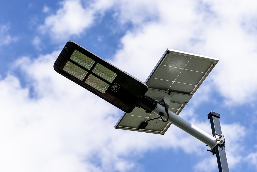 Luce e Nutrienti: Come l’Illuminazione Migliora la Qualità degli Ortaggi a Foglia